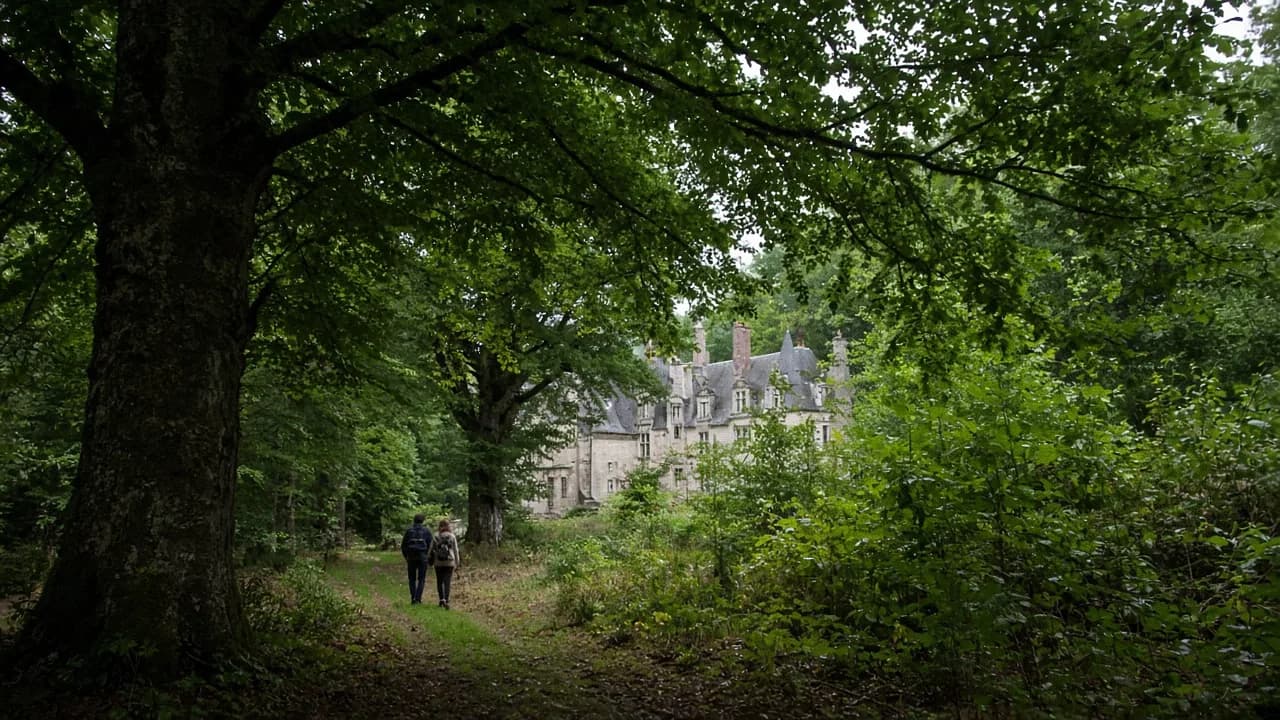 Château entrevu au bout d’une allée sous la forêt